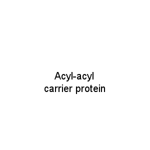 Acyl-acyl carrier protein